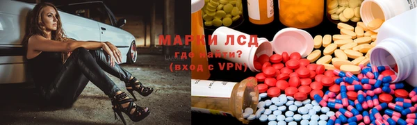 прущие крисы Новозыбков