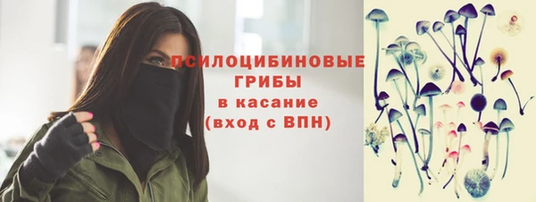 ПСИЛОЦИБИНОВЫЕ ГРИБЫ Нея