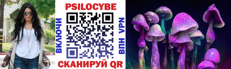 Купить закладки  Ядрин  Галлюциногенные грибы Psilocybe 